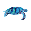 tortues