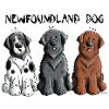 Newfoundland Dog Team