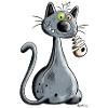Chat
