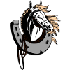 Riding horse horseshoe