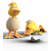 baby ducks in eggs