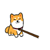 Shiba Inu
