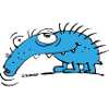 weevil