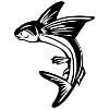 Poisson volant pêche poisson volant