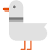 Möwe