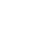 Spider silhouette