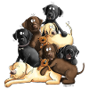 Divertente Labrador Dog Heap I Retriever Dogs