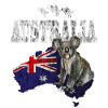 Australia koala bear