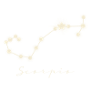 Sternzeichen Scorpion