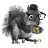 Rubik's Squirrel