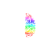Science Brain