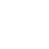Bird Bird Fly
