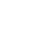 Birds Birds Fly