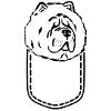 Chow Chow