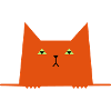 funny cat