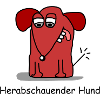 Dog yoga