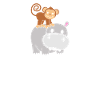 Hippopotame hippopotame hippopotame
