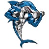 Shark Fitness Weightlifting