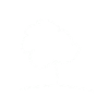 Baum