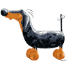 Teckel Chien