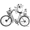 Chat et vélo