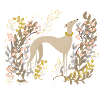 heller Windhund im Herbst