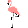 flamingo