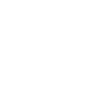 Pirate skull bones