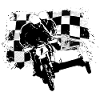 Sidecar Moto Cross