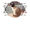 Chat, chat, chat