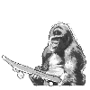 Skating Skateboard Monkey Monkey