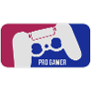 pro gamer