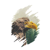 Tête d’aigle