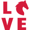 Equitation / Cheval / Cavalier / Equestre