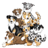 Australian Shepherd Hundehaufen I Aussie Hunde