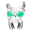 Cool DJ Cat