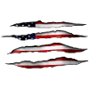 USA flag torn open