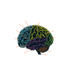 Programmeurs