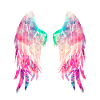 angel wings