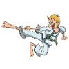 Karate kid boy jumping kick