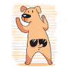 Funny dog with sunglasses
