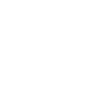 Veni Vidi Vici