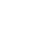 Diver