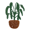 any plant!