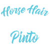 Glitter Pinto