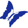 butterfly_01