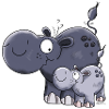 Hippopotame