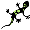 Illustration de gecko