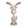 Wild Elk