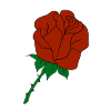 rose